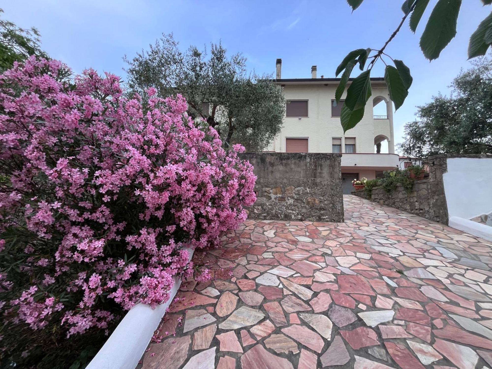 Casa Di Katia Apartment โคลเลซัลเวตติ ภายนอก รูปภาพ
